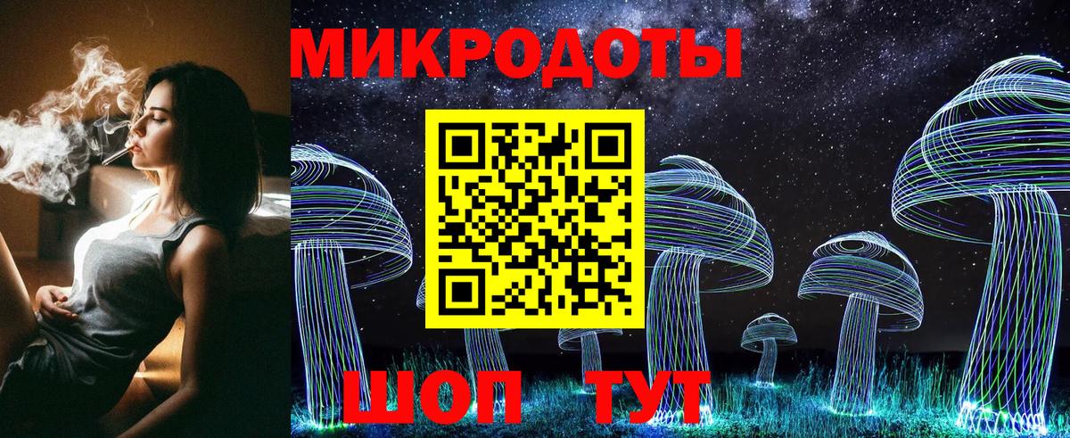 Галлюциногенные грибы Psilocybine cubensis Десногорск