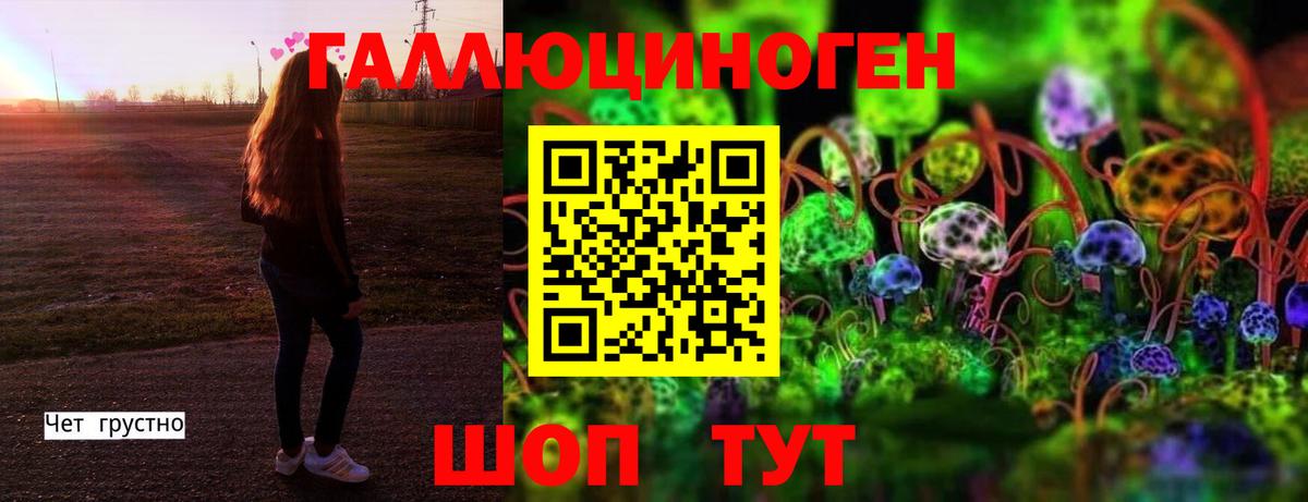 Десногорск  Псилоцибиновые грибы GOLDEN TEACHER  Вход с VPN  Псилоцибиновые грибы Psilocybe 